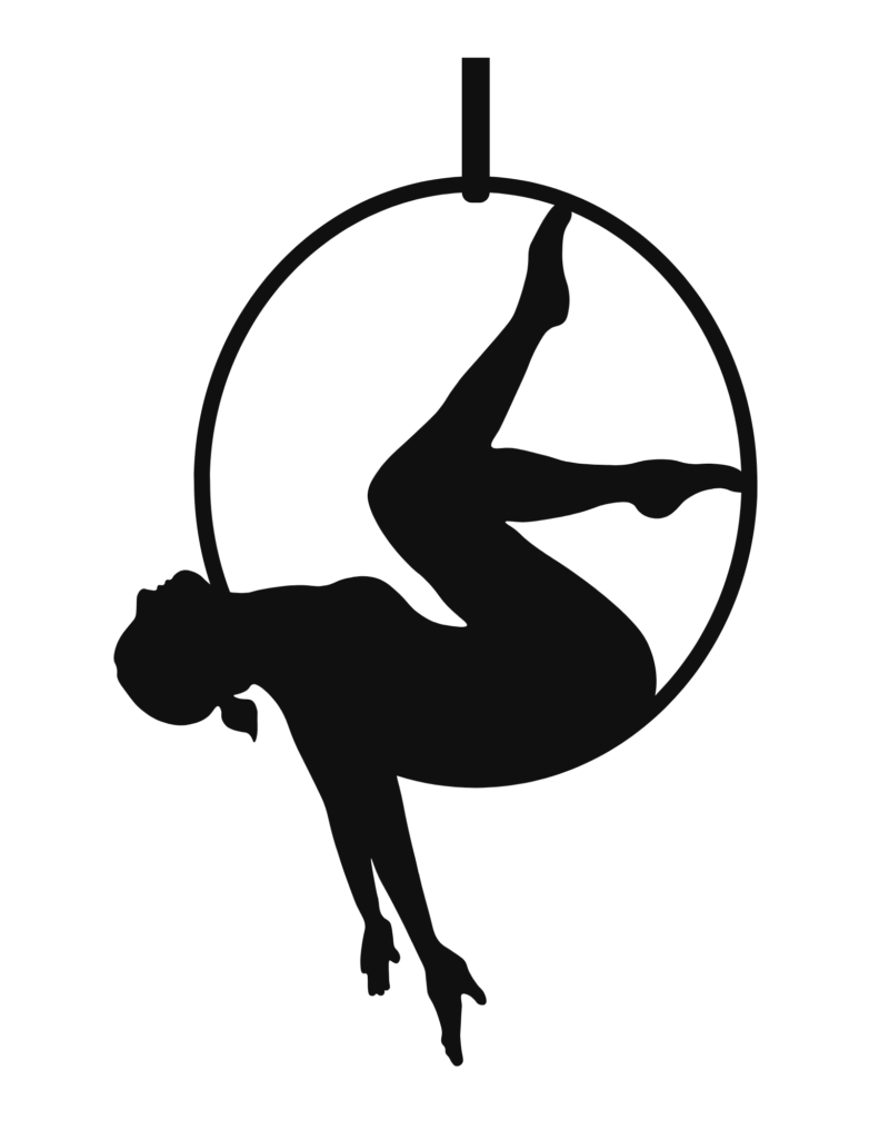 Lyra Teacher Certification - Aerial Hoop terminology